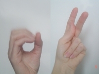 Mains faisant les signes LSF pour la lettre O et K.